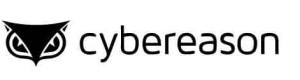 cybereason cybereason